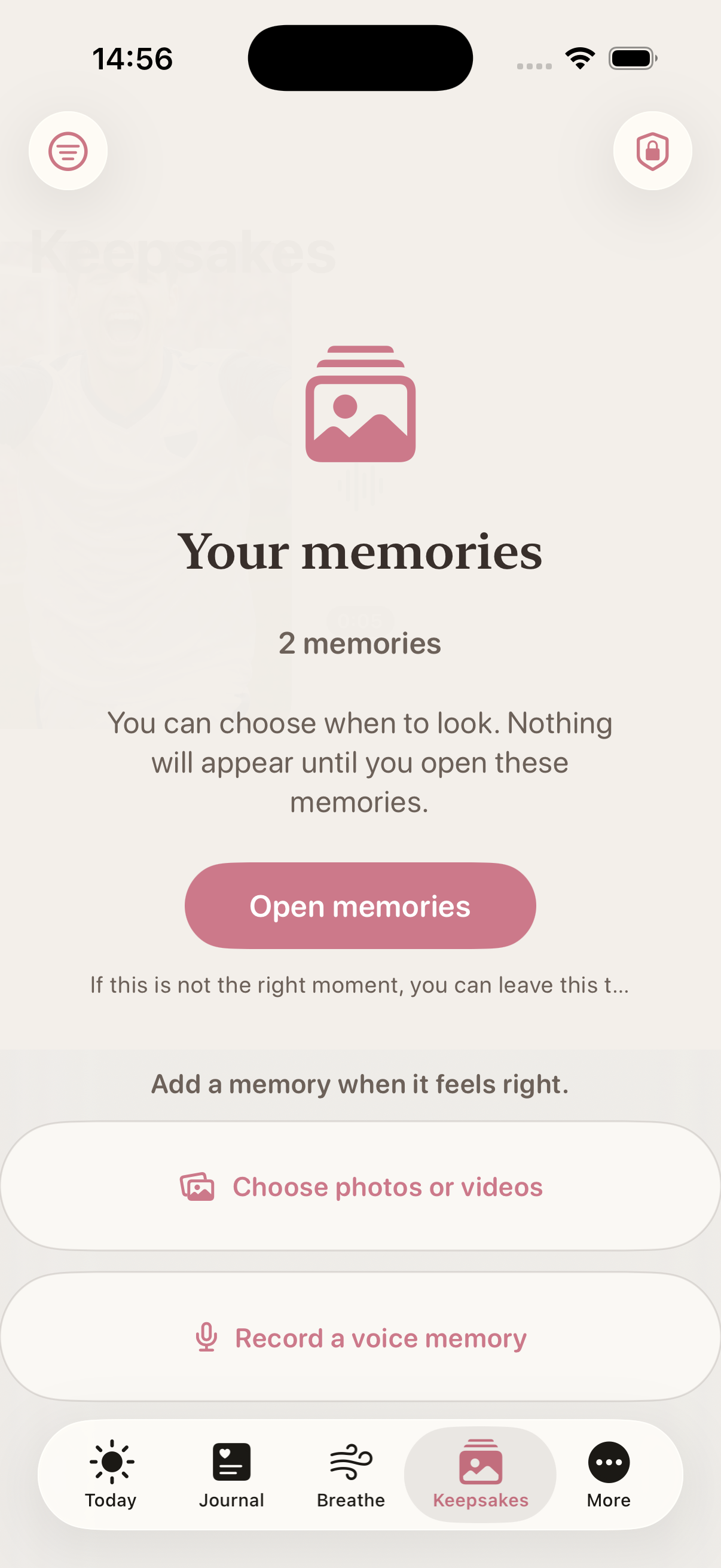 Keepsakes privacy screen